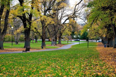 Hazine Bahçeleri Parkı Sonbaharda