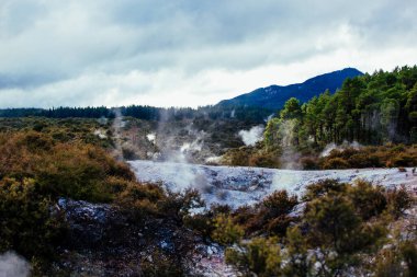 rotorua jeotermal çamur havuzları Yeni Zelanda 'da