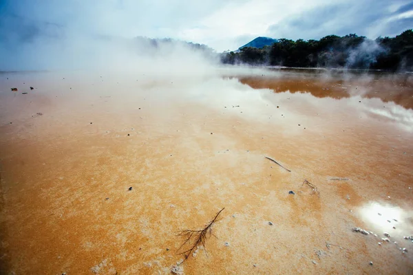 Геотермальні Грязьові Басейни Нової Зеландії — стокове фото