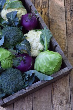 Organik taze yaz sebze - lahana ahşap arka plan üzerinde farklı çeşitleri. Karnabahar, alabaşlar, brokoli, beyaz baş lahana. Çiğ gıda.