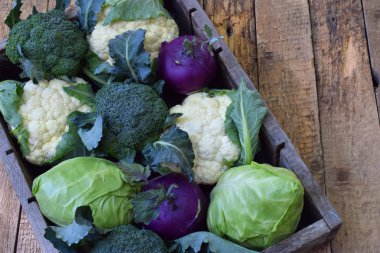 Organik taze yaz sebze - lahana ahşap arka plan üzerinde farklı çeşitleri. Karnabahar, alabaşlar, brokoli, beyaz baş lahana. Çiğ gıda.