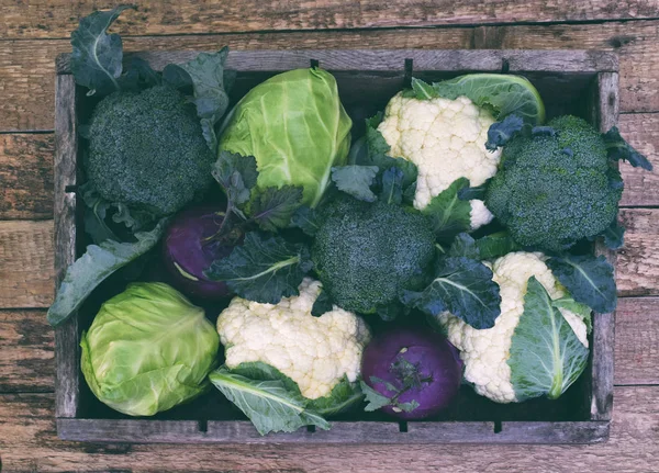 Verdure Estive Fresche Biologiche Varietà Diverse Cavoli Sfondo Legno Cavolfiore — Foto Stock