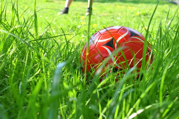 Крупним Планом Вид Червоний Зеленій Траві Граючи Вправи Футбольної Концепції — стокове фото