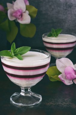 Panna cotta. Vanilya süt berry tatlı katmanlı. Pannacotta cam çilek jello ile. Geleneksel İtalyan tatlı. Kopya alanı