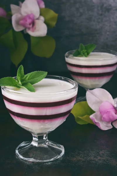 Panna Cotta Dessert Bacche Latte Alla Vaniglia Strati Pannacotta Vetro — Foto Stock