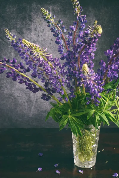 Люпин Натюрморт Букетом Фіолетові Квіти Вазі — стокове фото