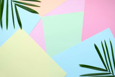 Yaratıcı en az yaz fikir. Yaprak yeşil dallar. Palm üzerinde pastel renkler bırakır. Tropikal egzotik arka plan metin için boş yer ile. Yaratıcı sanat kavramına. Düz yatıyordu, en iyi görünümü