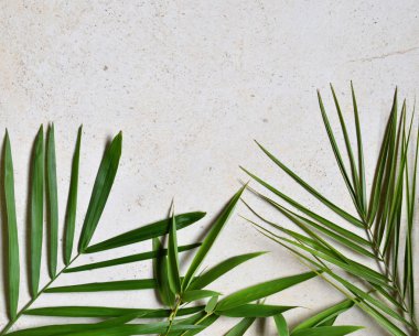 Yaratıcı en az yaz fikir. Yaprak yeşil dallar. Palmiye yaprakları. Tropikal egzotik arka plan metin için boş yer ile. Yaratıcı sanat kavramına. Düz yatıyordu, en iyi görünümü