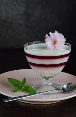 Panna cotta. Vanilya süt berry tatlı katmanlı. Pannacotta cam çilek jello ile. Geleneksel İtalyan tatlı. Kopya alanı