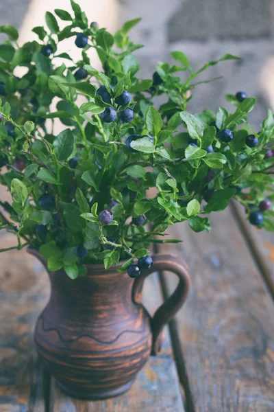 Yaban mersini. Kil vazo içinde çilek ile vahşi yaban mersini buket. Yaz hasat. Kopya alanı.