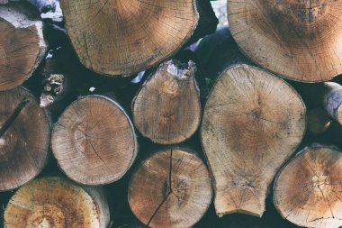 Yığınla kuru yakacak odunlarının arka planı.