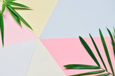 Yaratıcı en az yaz fikir. Yaprak yeşil dallar. Palm üzerinde pastel renkler bırakır. Tropikal egzotik arka plan metin için boş yer ile. Yaratıcı sanat kavramına. Düz yatıyordu, en iyi görünümü