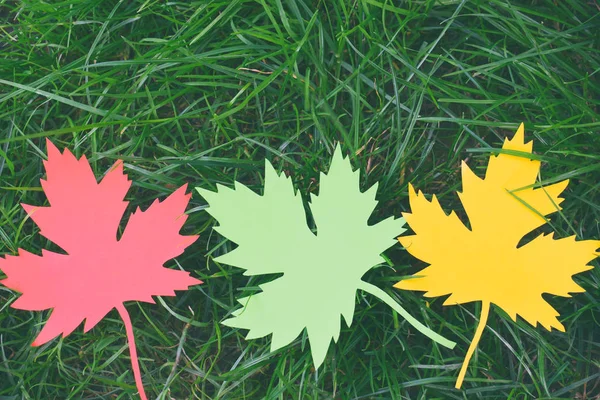 Gelbes Und Rotes Papier Ahornblatt Auf Grünem Gras Hallo Herbstkonzept — Stockfoto