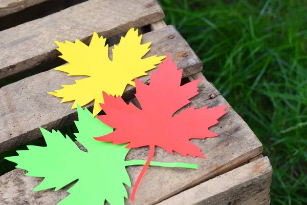 Rotes Gelbes Und Grünes Papier Ahornblatt Auf Einer Holzkiste Gras — Stockfoto