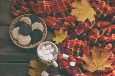 Hatmi, çikolatalı kurabiye ve fıstık bisküvi, paket kakao fincan. Sonbahar sahne. Sonbahar gevşeme, ülke yaşam tarzı, rahatlayın ya da kırsal tatil. Merhaba Eylül, Ekim, Kasım kavramı