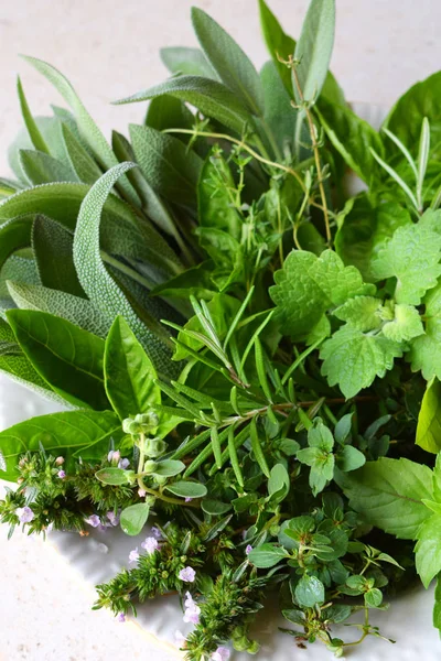 Frische Gewürz Und Heilkräuter Auf Weißem Hintergrund Bouquet Aus Verschiedenen — Stockfoto