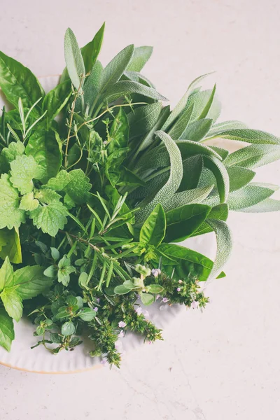 Fresh spicy and medicinal herbs on white background. Bouquet from various herb - rosemary, oregano, sage, marjoram, basil, thyme, mint