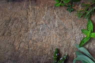 Taze baharatlı ve şifalı otlar ahşap arka plan üzerinde. Çeşitli bitki - kenarlık biberiye, kekik, adaçayı, Mercanköşk, fesleğen, kekik, nane. Tarifi için gıda çerçeve.