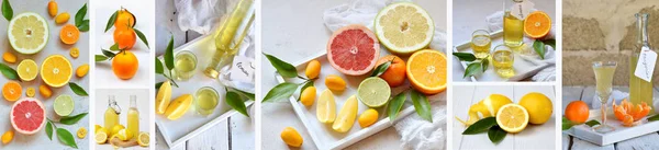 Banners set of citrus fruits and alcohol drinks. Fresh organic juicy fruit - mandarin, lemon, grapefruit. Orange flavored liqueur, Italian Limoncello liquor, tangerine tincture