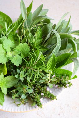 Taze baharatlı ve şifalı otlar beyaz arka plan üzerinde. Buket üzerinden çeşitli bitki - biberiye, kekik, adaçayı, Mercanköşk, fesleğen, kekik, nane