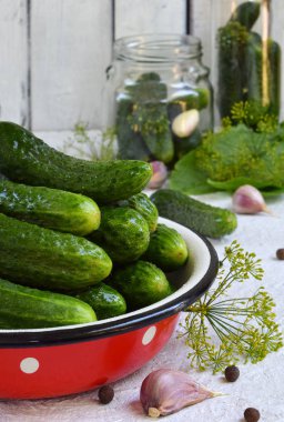 Metal kapta taze salatalık. Koruma hafif bir arka plan üzerinde organik sebze üzerinden yapmak. Bir kavanoz içinde ev yapımı organik yeşil turşu. Kopya alanı