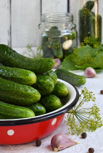 Fresh Cucumber Metal Bowl Making Conservation Organic Vegetables Light Background — Stock Photo, Image