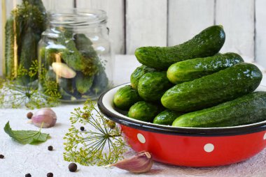 Metal kapta taze salatalık. Koruma hafif bir arka plan üzerinde organik sebze üzerinden yapmak. Bir kavanoz içinde ev yapımı organik yeşil turşu. Kopya alanı