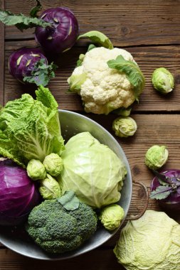 Lahana farklı çeşitleri. Organik taze sebze - karnabahar, alabaşlar brokoli, beyaz ve mor lahana, savoy, Brüksel. Çiğ gıda. Sağlıklı gıda.