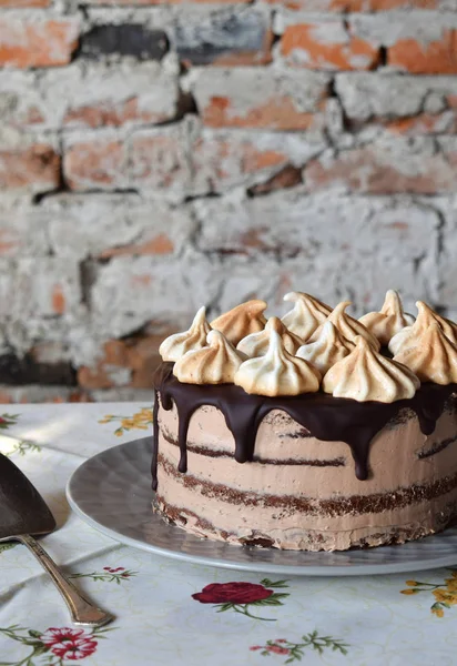 Κέικ σοκολάτας, διακοσμημένα με ροζέτες μαρέγκας κρέμα: μπισκότο σοκολάτας με καρύδι, κρέμας καραμέλας. Σπιτικό ψησίματος. — Φωτογραφία Αρχείου