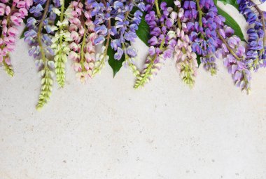 Mermer zemin üzerine acı bakla çiçek pembe ve mor. Doğum günü, anneler günü, Sevgililer günü, Mart 8, kart veya davet düğün. Festival çiçek dekoratif arka plan. Üstten görünüm