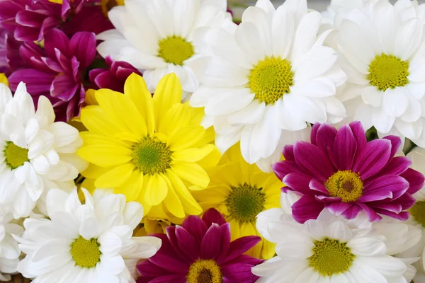 Pink, yellow and white chamomile flowers border. Birthday, Mother's day, Valentine's Day, March 8, Wedding card or invitation. Floral decorative frame. Festive background. Top view