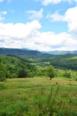 Yeşil çimenler, ormanlarla kaplı dağlar ve bulutlu mavi gökyüzü. Yaz dağ manzarası.