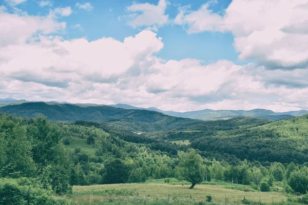 Yeşil çimenler, ormanlarla kaplı dağlar ve bulutlu mavi gökyüzü. Yaz dağ manzarası. — Stok fotoğraf