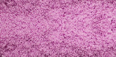 balçık mantar doku soyut arka plan makro görüntü. Physarum polisefalisi. Mycetozoa