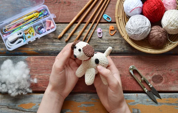 Tığ işi beyaz köpek yapmak. Bebekler için oyuncak ya da ıvır zıvır. Masanın iplikleri, iğneler, kanca, pamuk ipliği. El yapımı bir hediye. Diy el sanatları kavramı.