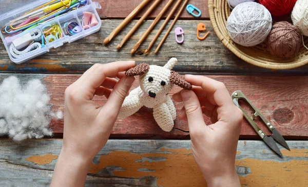 Haak witte hond maken. Speelgoed voor baby's of Trinket. Op de tabel draden, naalden, haak, garens van katoen. Handgemaakte cadeau. DIY ambachten concept. — Stockfoto