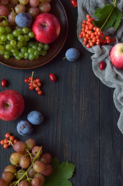 Sonbahar natürmort sonbahar meyve ve çilek ahşap arka plan - üzüm, elma, Erik, kartopu, kızılcık sopası ile Şükran günü için. Çiğ gıda. Kopya alanı