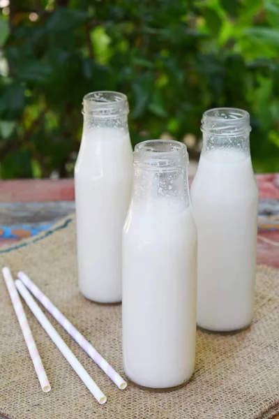 Rismjölk i flaska, med riskornen. Alternativa typ av mjölk. Vegan icke-dairy mjölk. Laktosfri mjölk och Nondairy drycker. Laktosintolerans. Hälsosam mat. — Stockfoto