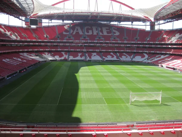 Diferentes Fotos Ciudad Naturaleza Deporte Fútbol — Foto de Stock