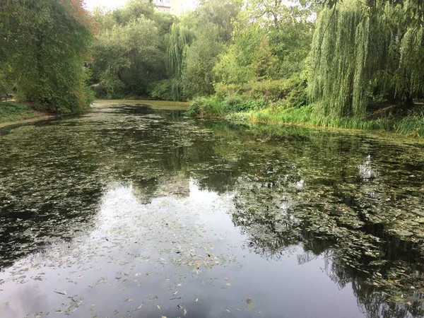 Şehrin, doğanın, sporun, futbolun farklı ve güzel fotoğrafları..