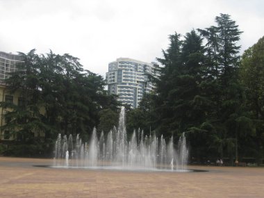 Şehrin, futbolun, doğanın farklı fotoğrafları..