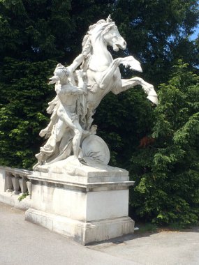 Şehrin, futbolun, doğanın farklı fotoğrafları.