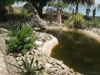 Şehrin, futbolun, doğanın farklı fotoğrafları.