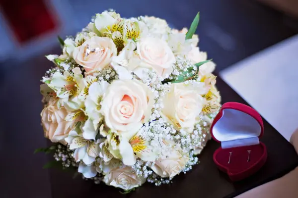 Şehrin, doğanın, sporun, futbolun farklı ve güzel fotoğrafları..