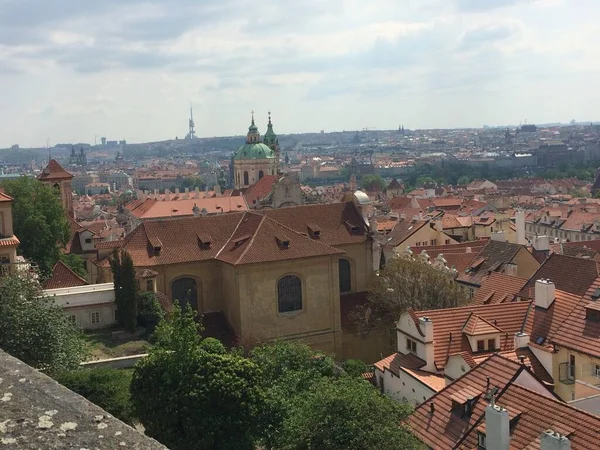 Şehrin, futbolun, doğanın farklı fotoğrafları.