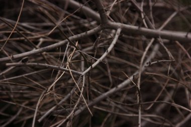 Kum dalgaları okyanusun dibinde oluşur. Fotoğraf bir arkaplan resmi olarak oluşturulmuştur. Herkes bu resmi ekran koruyucu olarak kullanabilir