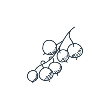 Gıda el çizimi kavramından kuşüzümü ikonu vektörü. İnce çizgili, düzenlenebilir kuşüzümü felci. İnternet ve mobil uygulamalar, logo ve yazdırma ortamlarında kullanmak için kuşüzümü doğrusal işareti.