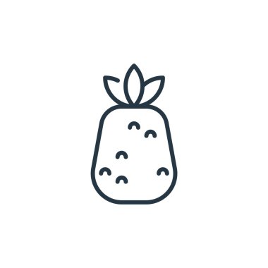 Eğitim konseptinden ananas ikonu vektörü. İnce çizgili, düzenlenebilir ananas felci çizgisi. Web ve mobil uygulamalarda kullanmak için ananas doğrusal işareti, logo, yazdırma ortamı.
