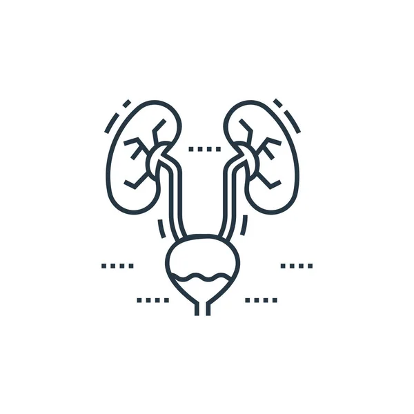 Vetor Ícones Renais Órgãos Celulares Conceito Cannabis Medicinal Ilustração Linha — Vetor de Stock