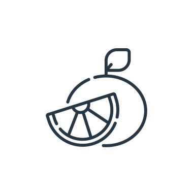 Bahar konseptinden greyfurt ikonu vektörü. Kurgulanabilir greyfurt felcinin ince bir çizgisi. Web ve mobil uygulamalarda kullanmak için greyfurt doğrusal işareti, logo, yazdırma ortamı.